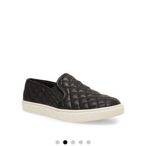 NEW IN BOX STEVE MADDEN ECENTRCQ 7.5